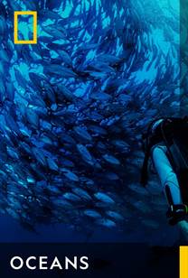 Oceans