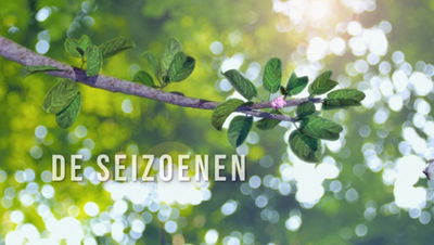 De Seizoenen
