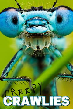Creepy Crawlies (2022&#8209;&nbsp;)