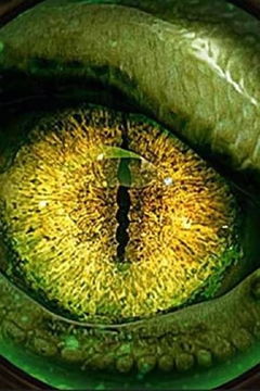 MonsterQuest Specials (2020‑ )