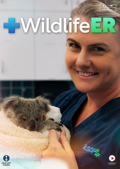Wildlife ER (2023&#8209;&nbsp;)