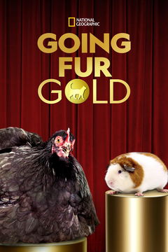 Going Fur Gold (2023‑ )