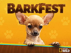BarkFest (2017)