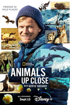 Animals Up Close with Bertie Gregory (2023&#8209;&nbsp;)
