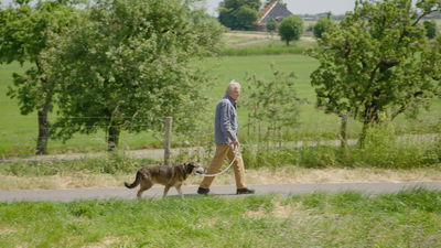 Met Bromet naar hondencursus