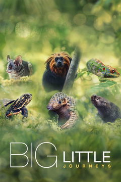 Big Little Journeys (2023&#8209;&nbsp;)