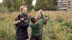 Zo Dood als een Pier