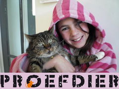 Proefdier
