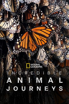 Incredible Animal Journeys (2023&#8209;&nbsp;)