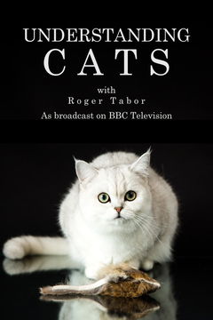 Understanding Cats (1995)