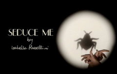 Seduce Me (2010)