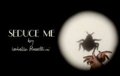 Seduce Me (2010)