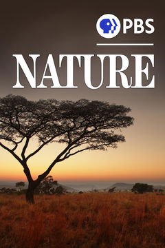Nature (1982&#8209;&nbsp;)