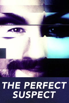 The Perfect Suspect (2017&#8209;&nbsp;)