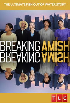 Breaking Amish (2012&#8209;2014)