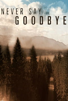 Never Say Goodbye (2019&#8209;&nbsp;)