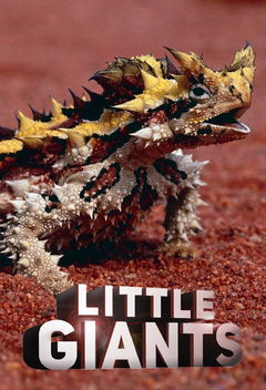 Little Giants (2019&#8209;2020)