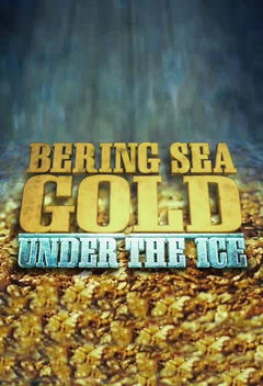 Gold Divers: Under the Ice (2012‑ )