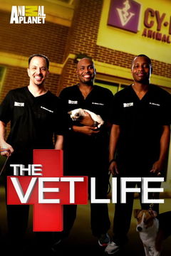 The Vet Life (2016‑ )