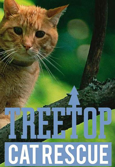 Treetop Cat Rescue