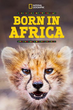 Born in Africa (2018&#8209;2019)