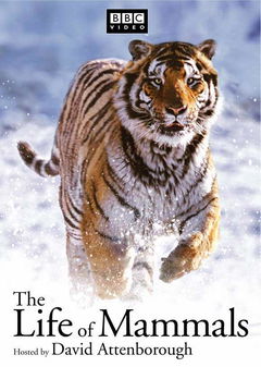 The Life of Mammals (2002&#8209;2003)