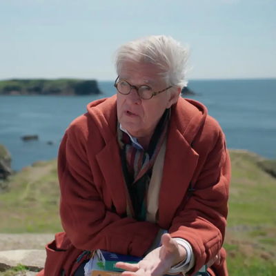 Krabbé zoekt Matisse