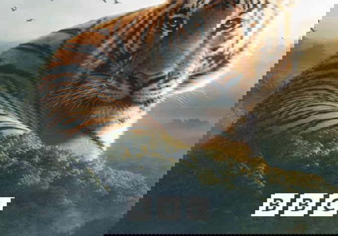 Top 20 Beste Miniseries 2024 op NPO Start & Plus (oktober 2025) Top 20 Beste Miniseries 2024 op NPO Start & Plus (oktober 2025)