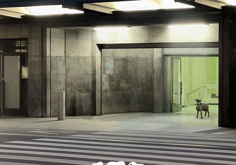 Top 10 Beste Dramaseries 2024 op Videoland (februari 2026)