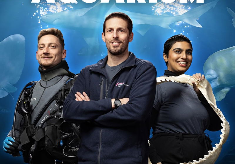 Top 20 Beste Series 2023 op Videoland (december 2025)