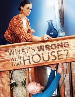 What's Wrong with That House? (2023&#8209;&nbsp;)
