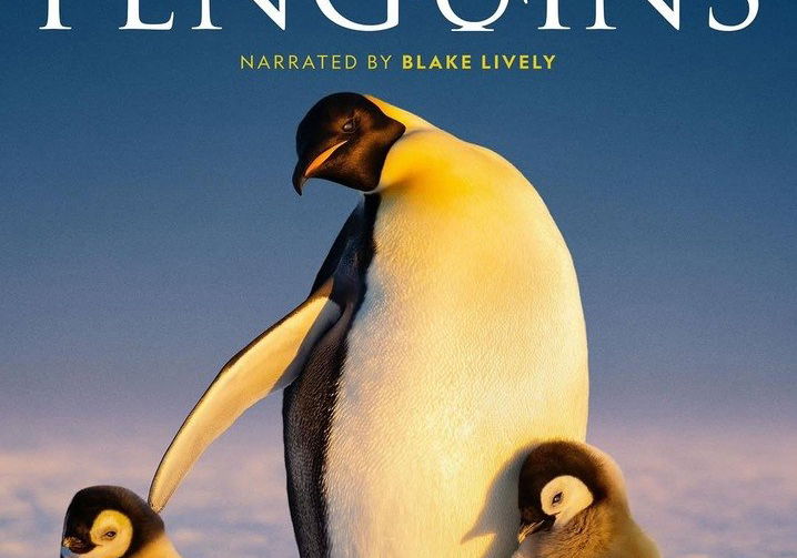 Beste Avonturenseries 2025 op Disney+ (september 2025)