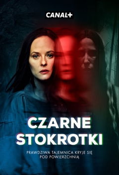 Czarne Stokrotki (2025&#8209;&nbsp;)