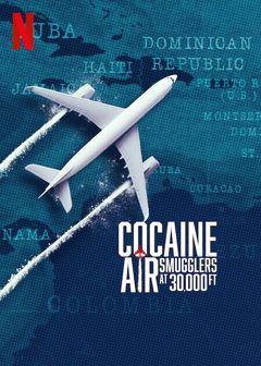 Y a -t-il un dealer dans l'avion (2025)