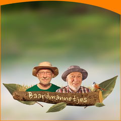 Baardmannetjes (2017&#8209;&nbsp;)