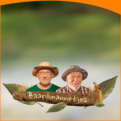 Baardmannetjes
