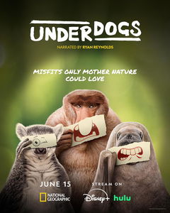 Underdogs (2025‑ )