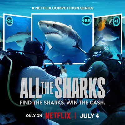 All the Sharks