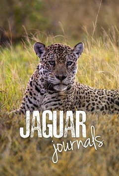 Jaguar Journals (2024‑&nbsp;)
