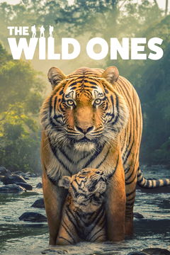 The Wild Ones (2025‑ )