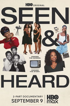 Seen & Heard: The History of Black Television (2025&#8209;&nbsp;)
