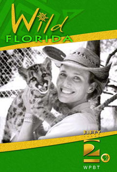 Wild Florida (2006&#8209;2009)