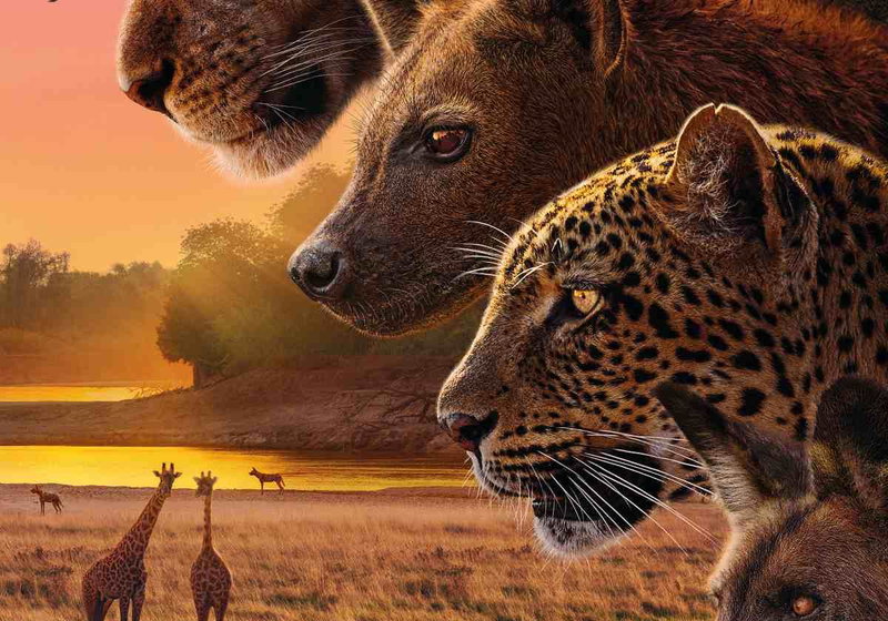 Beste Documentaireseries 2025 op NPO Start &amp; Plus (april 2026)