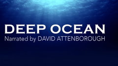 Deep Ocean (2015‑2018)