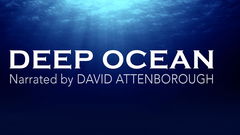 Deep Ocean (2015)