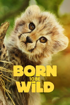 Born to be Wild (2025‑&nbsp;)