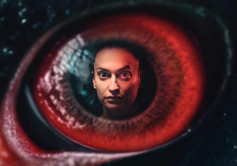 Beste recente documentaireseries op NPO Start &amp; Plus (maart 2026)