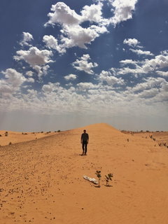 Sahara (2018‑ )