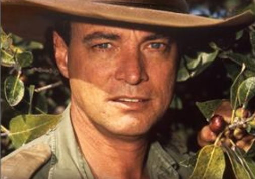 Top 100 Beste Series 1988