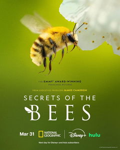 Secrets of the Bees (2026)